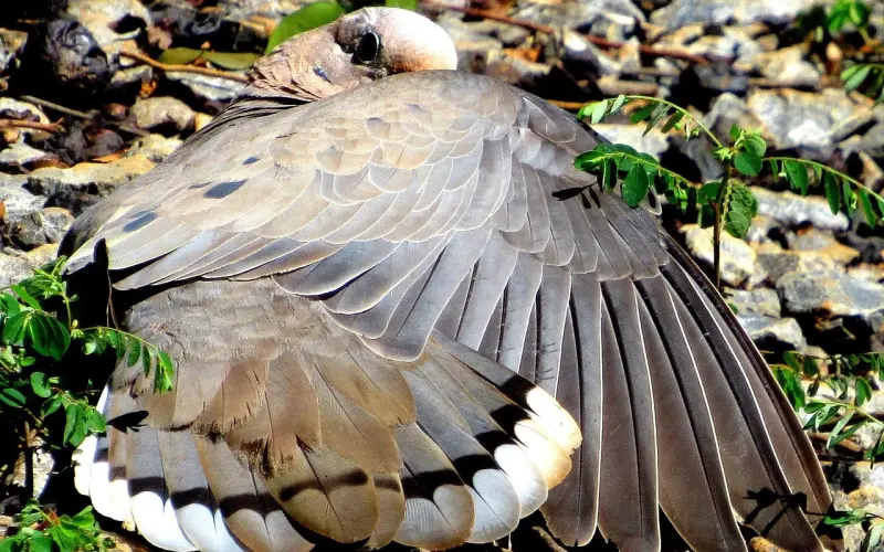 情感咨询：如何挽回pu很高的男朋友？