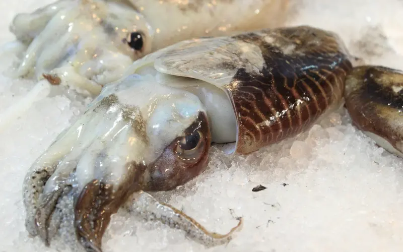 情感咨询：做错事情如何挽回男友