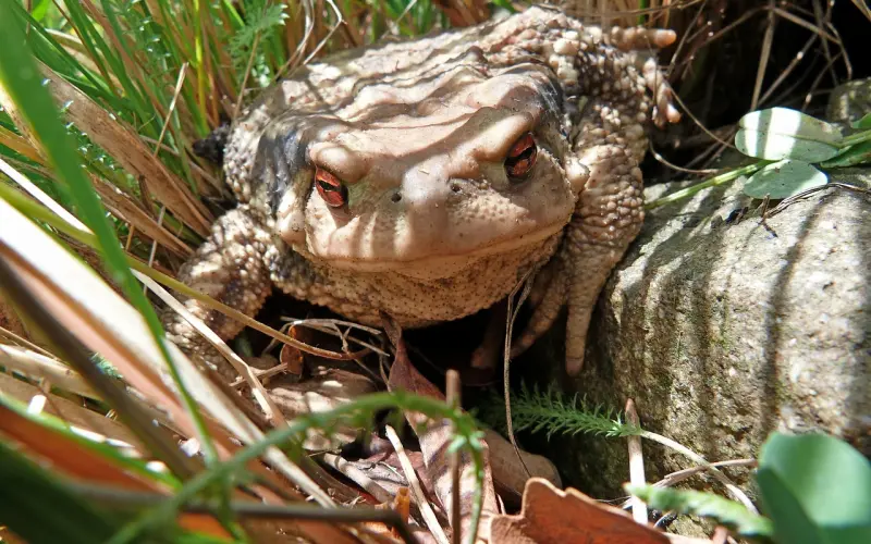 情感咨询：如何衡量他是否值得挽留？