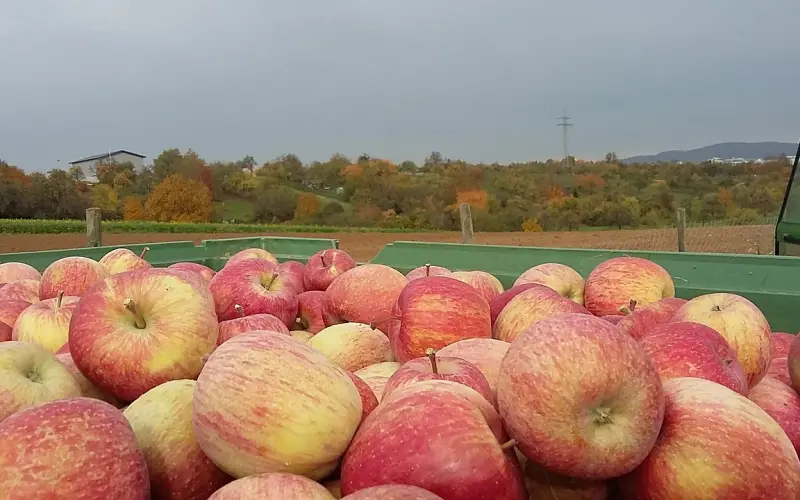 情感咨询：男人出轨后如何让他收收心呢？