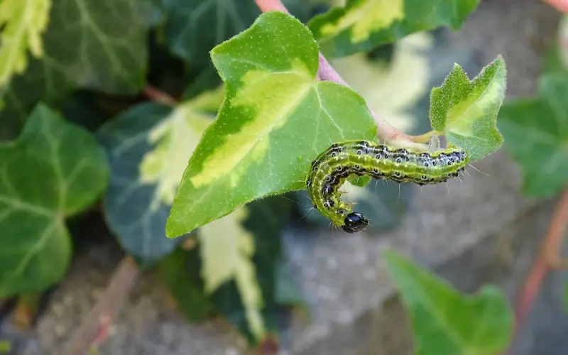 情感咨询：吵架后对付老公的办法