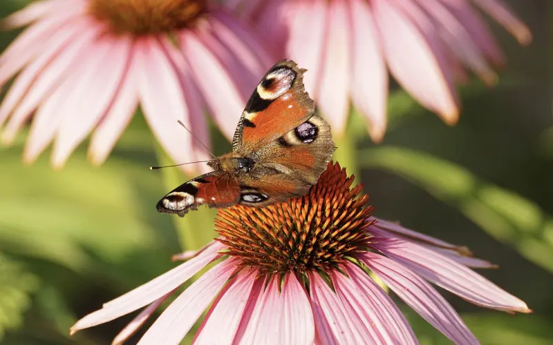 情感咨询：女人离婚之后如何跟前夫相处？
