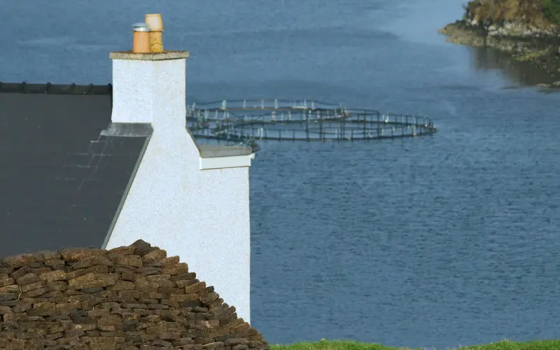 情感咨询：怎么能挽回爱情