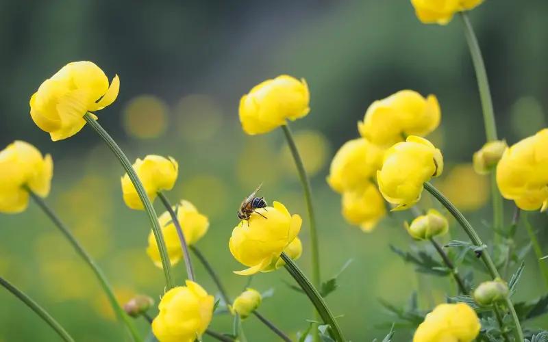 情感咨询：因为八字不合被逼分手，教我如何挽回爱情