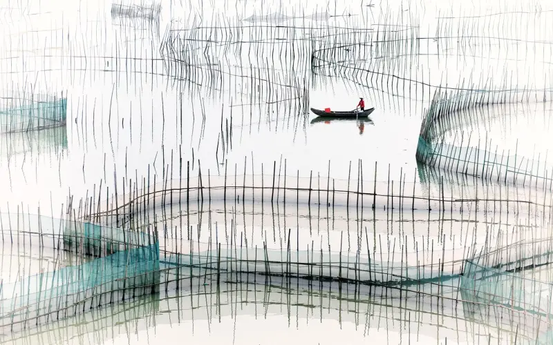 情感咨询：想和老公离婚，女人可以做这八件事！