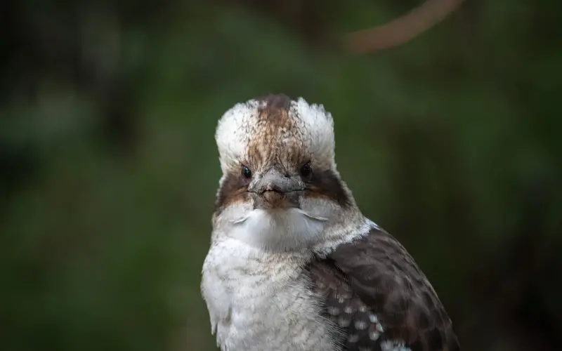 情感咨询：不顾父母反对，直接领证可以吗？
