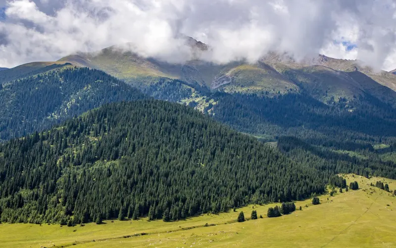 情感咨询：老公出轨了原来这么轻轻松松就能挽回成功