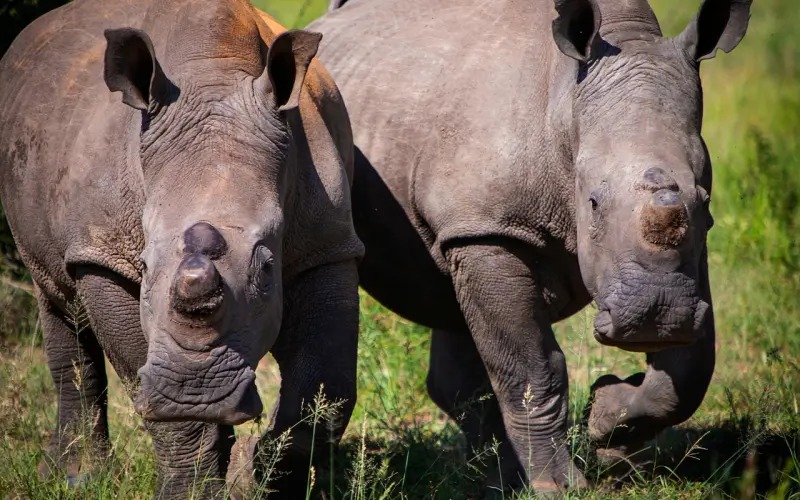 情感咨询：恋爱总是踩雷区不分手才怪