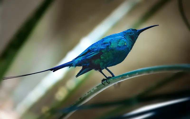 情感咨询：岗位调动需去声色场所 如何规避未婚夫出轨风险？