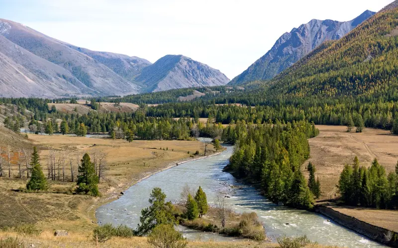 情感咨询：在危机中也要让婚姻充满爱