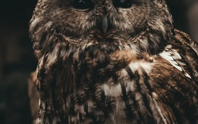 情感咨询：男人拯救出轨的婚姻