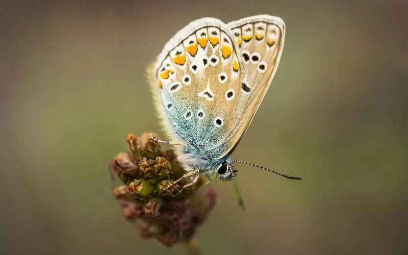 情感咨询：男朋友说超级讨厌我，应该怎样挽回他的爱