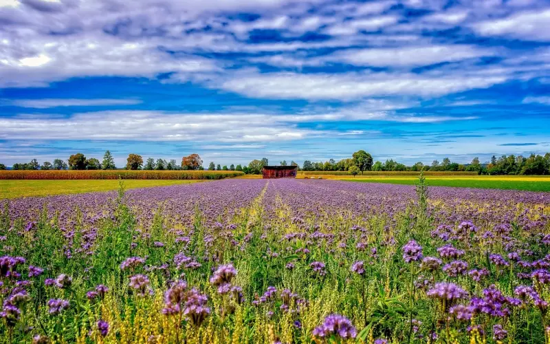 情感咨询：男友没房没工作，我还要跟他在一起吗？