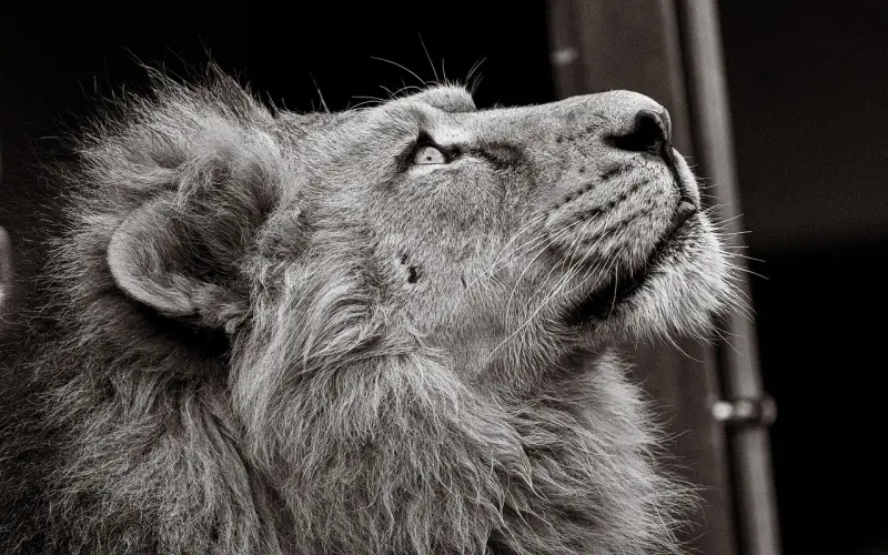 情感咨询：女友对于追求者态度不拒绝，我该如何挽回这段感情？