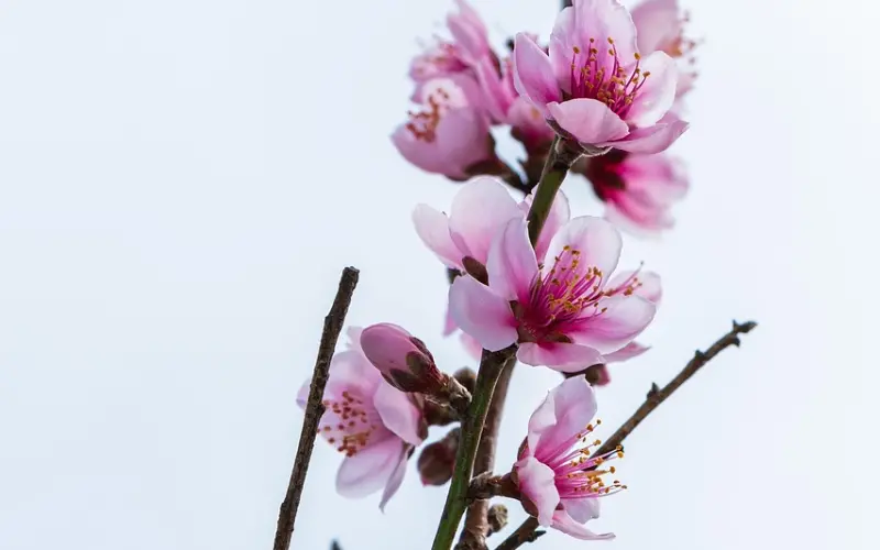 情感咨询：老公心遇七年之痒，老婆这么做来挽回老公的心