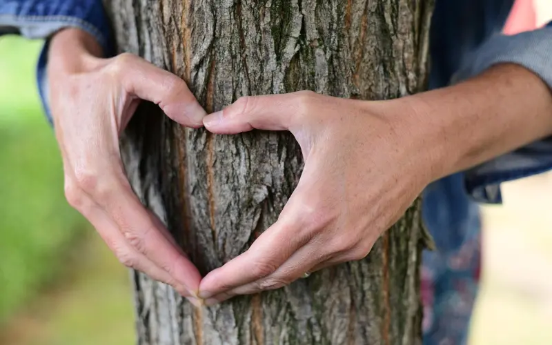 情感咨询：老公出轨的误区与真相