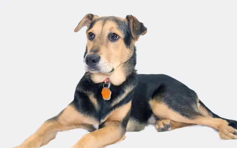 情感咨询：挽回老公千万不要做这几件事