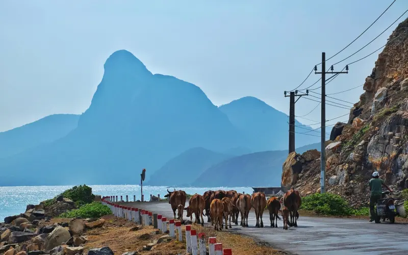 情感咨询：这5句话千万别说，男人听了就离婚