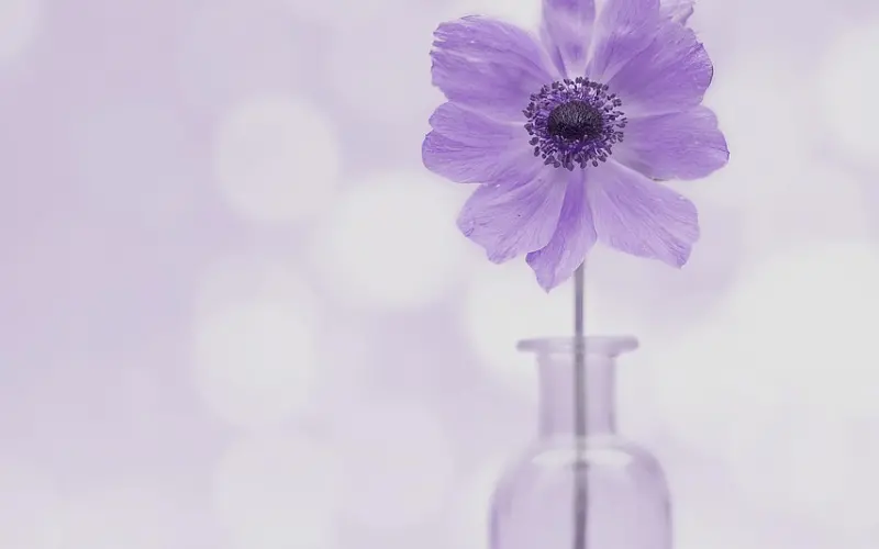 情感咨询：老公出轨你要选择原谅？