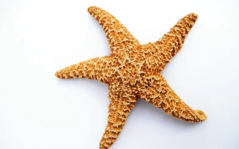 情感咨询：男人出轨女人应该原谅他吗？