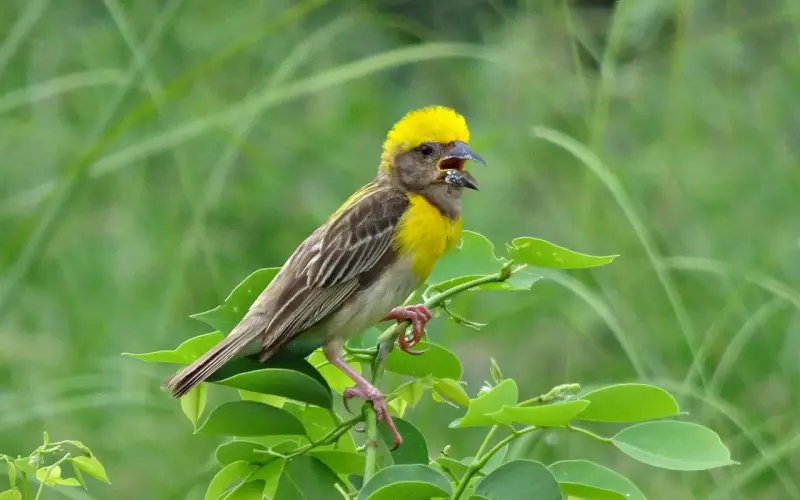 情感咨询：男人决定离婚的十个表现，及早发现及早挽回
