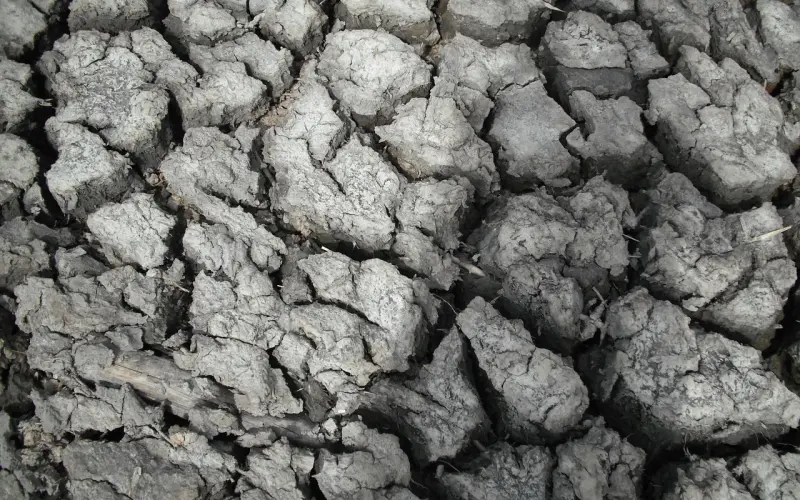 情感咨询：夫妻关系决裂，如何挽回老公的心？