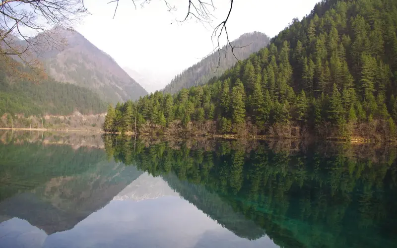 情感咨询：夫妻吵架最伤人的九句话