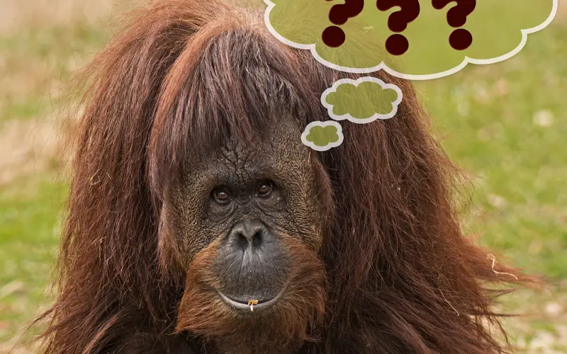 情感咨询：离婚之前先要思考三个问题