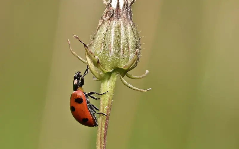 情感咨询：挽回男朋友，你知道他的弱点在哪里吗
