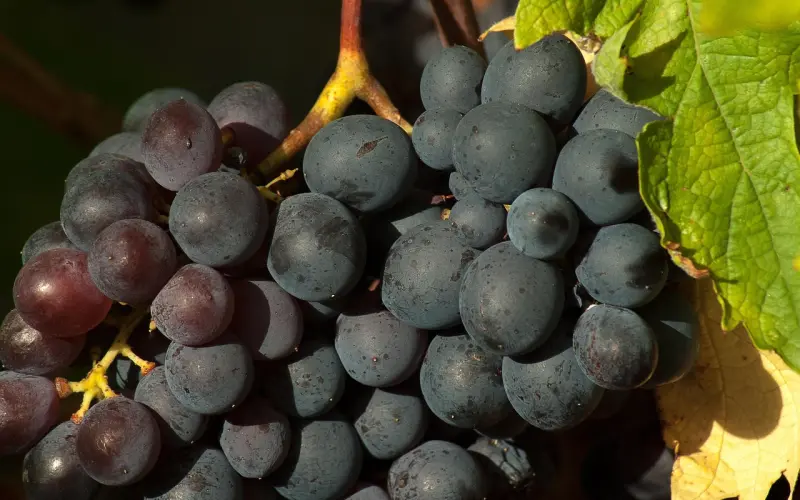 情感咨询：父母出一部分钱买房 结婚不想与父母一起住怎么办？