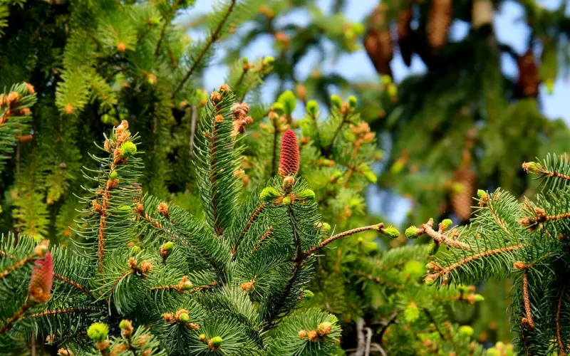 情感咨询：结婚后我不喜欢老公后悔了该怎么办