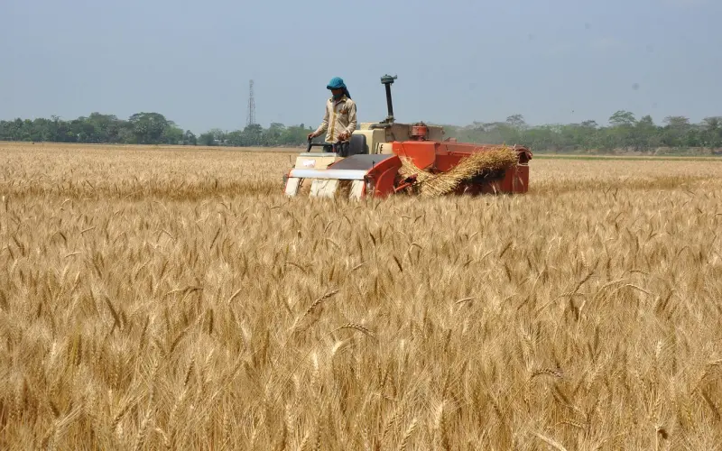 情感咨询：异地恋男友几天不联系我 我该怎么办呢？