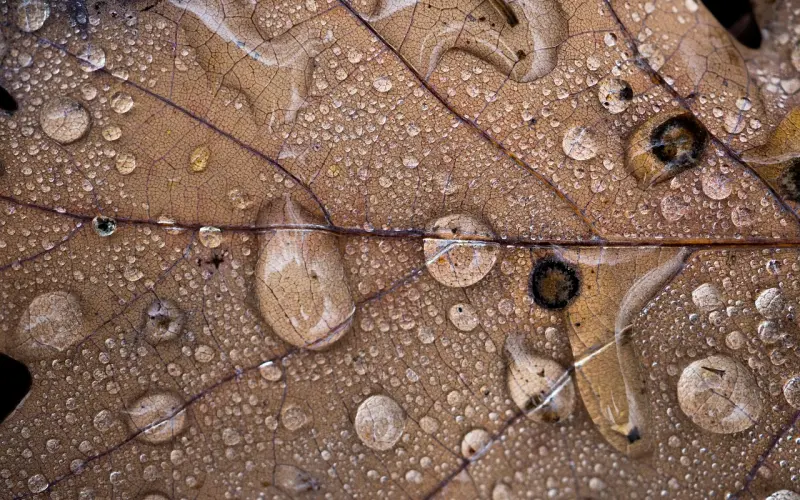 情感咨询：不喜欢男友送的礼物，我该怎么办？