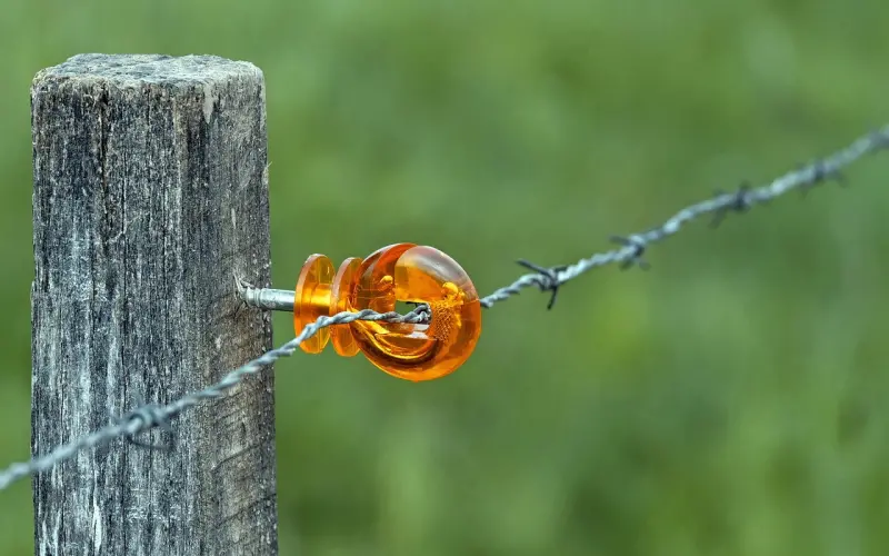 情感咨询：老公没有事业心怎么办？