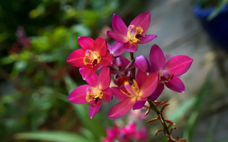 情感咨询：婚前买房导致情感危机怎么办？