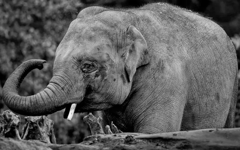 情感咨询：女人分手后后悔想挽回怎么办？