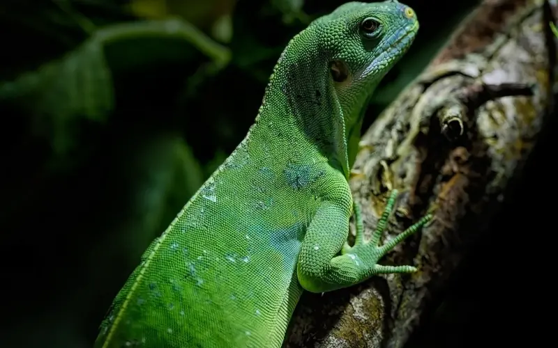 情感咨询：女性面临分手危机该怎么办