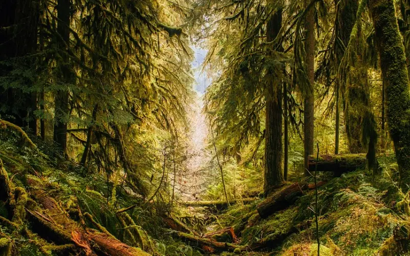 情感咨询：老公长期冷落你该怎么办