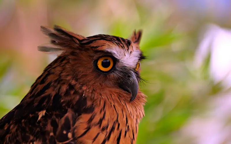 情感咨询：面对坏男人的性打扰，我该怎么办呢？