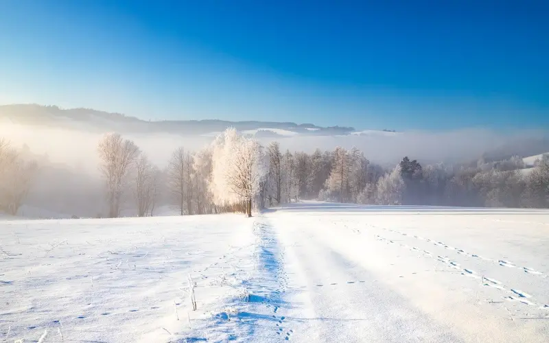 情感咨询：冲动之下说分手，想要复合怎么做