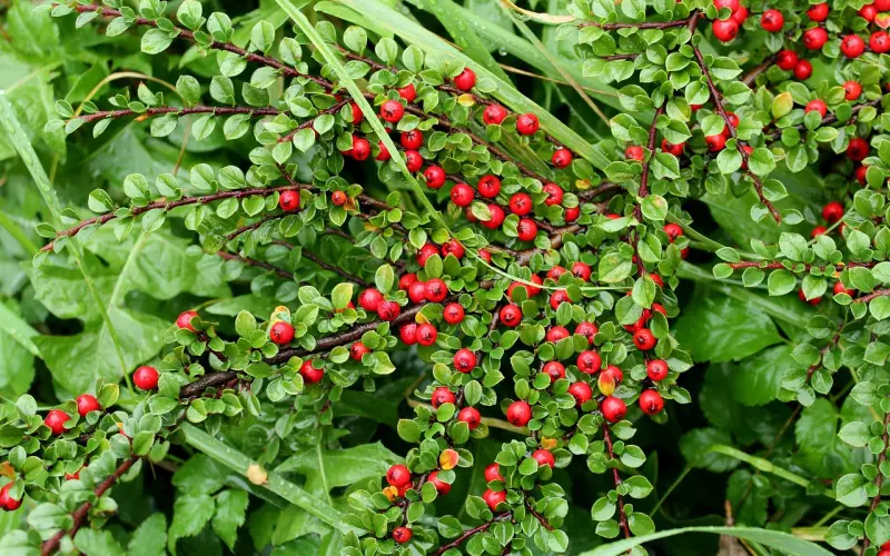 情感咨询：男朋友情商低怎么办？