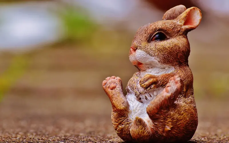 情感咨询：男友是兔唇父母反对我们在一起怎么办