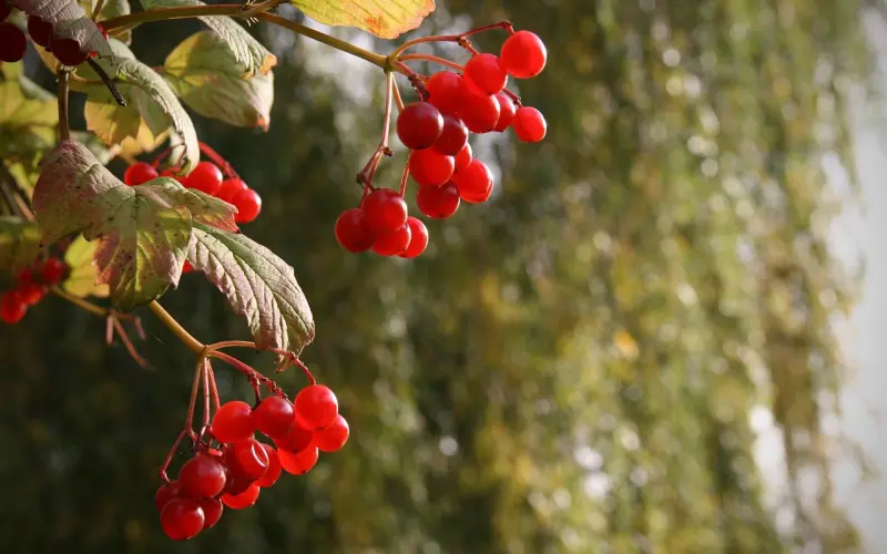 情感咨询：老公突然变得冷淡意味着什么？