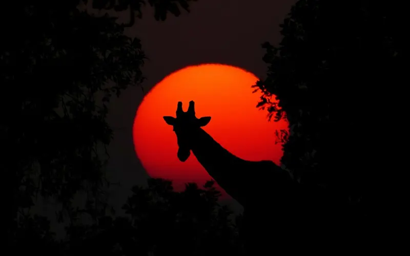 情感咨询：新婚买房，老公说婚后要一起还首付怎么办？