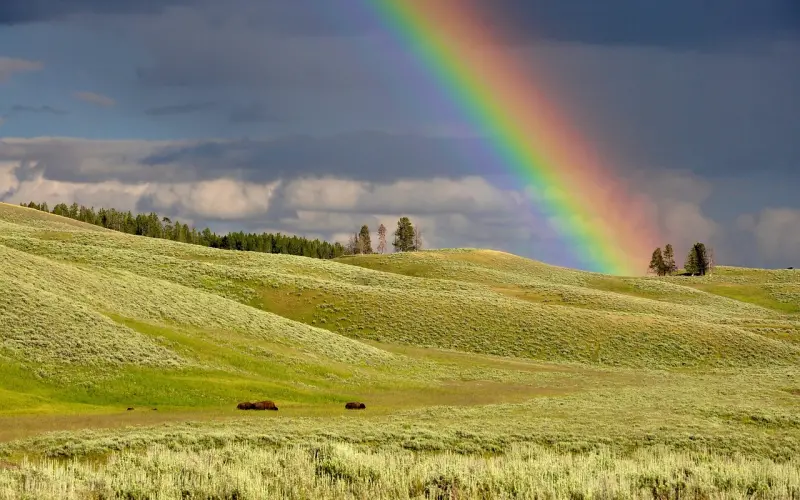 情感咨询：老公吵架爱摔东西怎么办