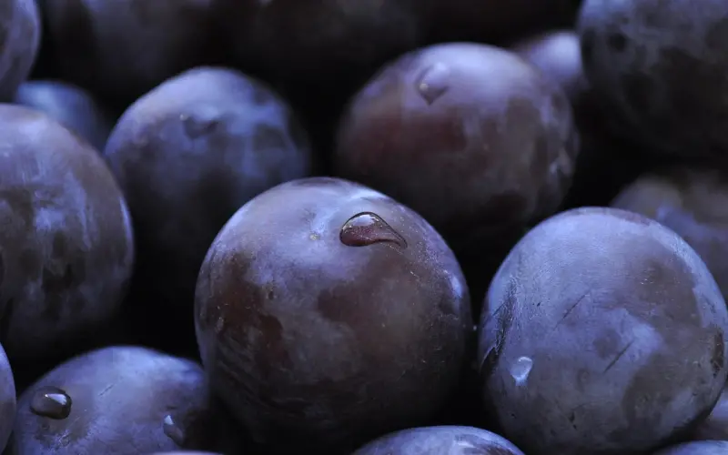 情感咨询：我跟男友星座属相不合怎么办？