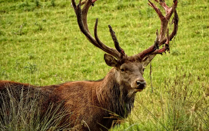 情感咨询：老公有外遇怎么办，改变自我挽回老公的心
