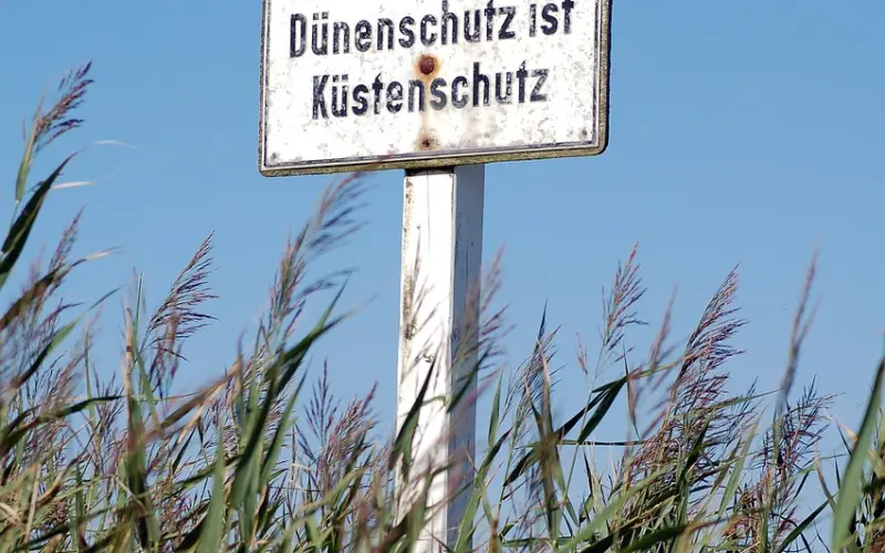 情感咨询：前任为什么不跟你复合？注意挽回的三大雷区