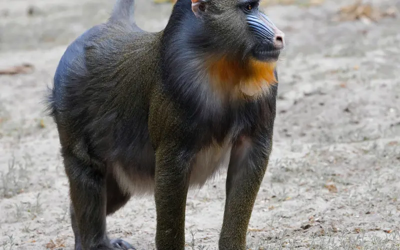 情感咨询：挽回男友千万不能做这些事情