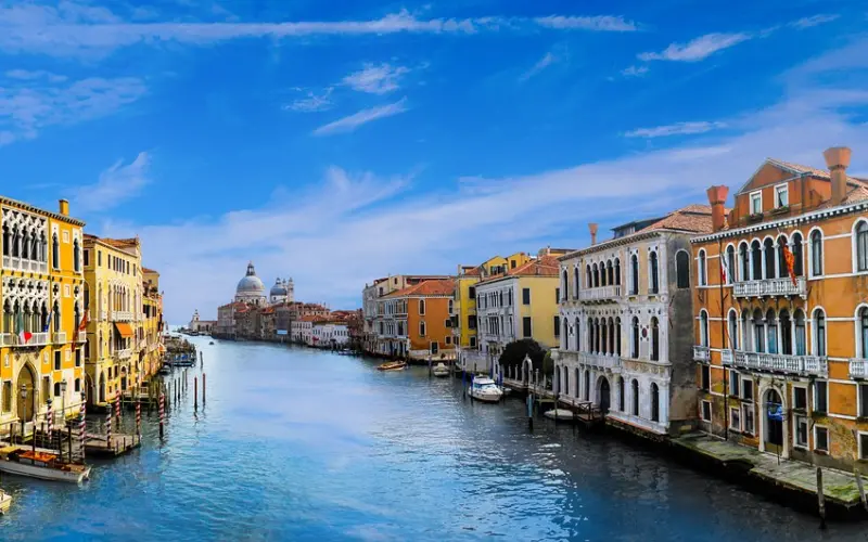 情感咨询师：新欢固然是好，旧爱也不差。